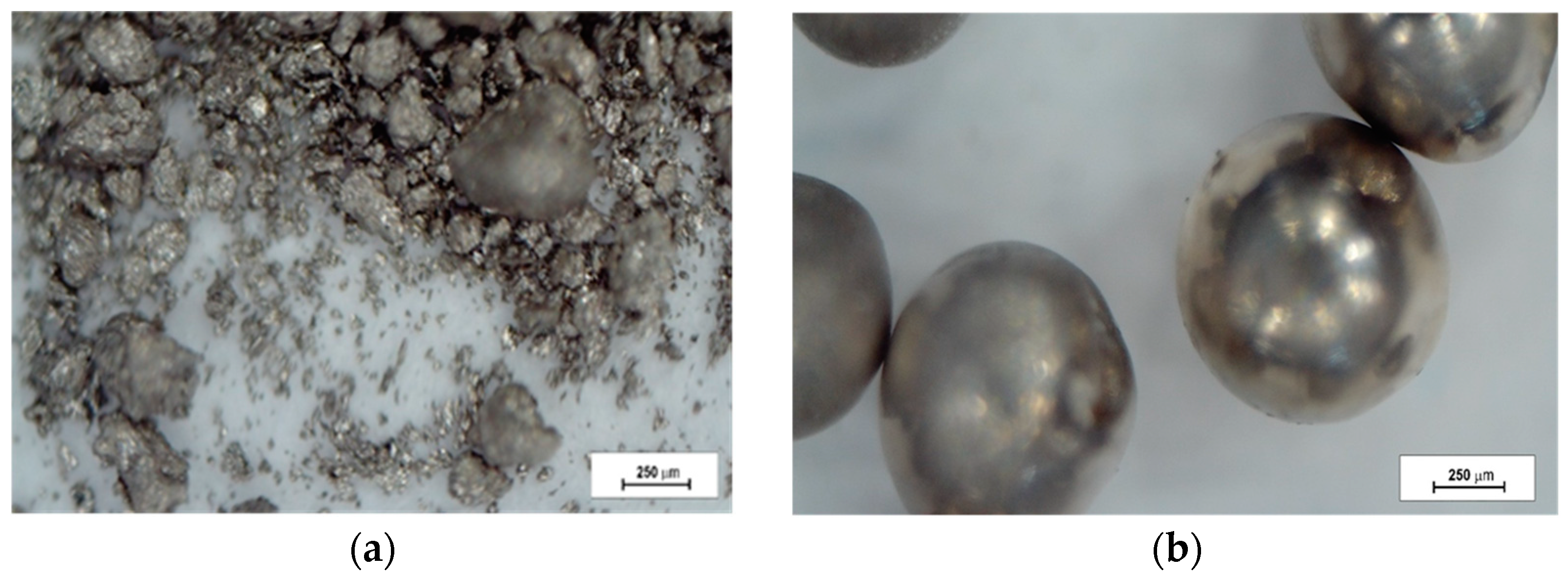 Applsci 15 02932 g001