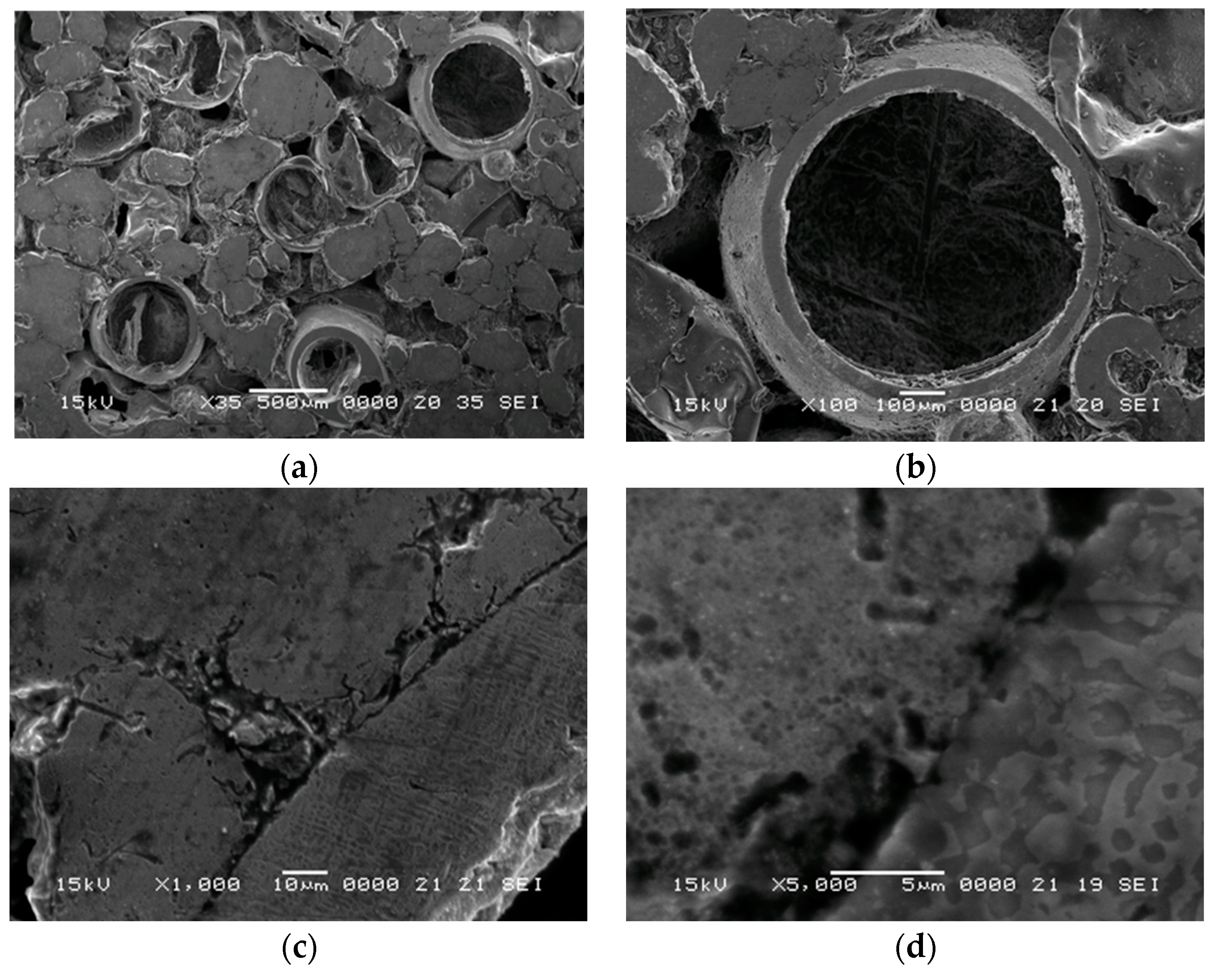 Applsci 15 02932 g004