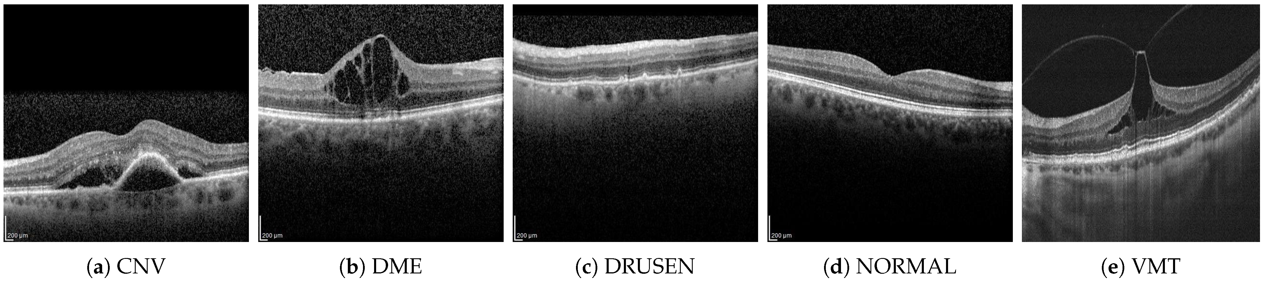 Applsci 15 02937 g001