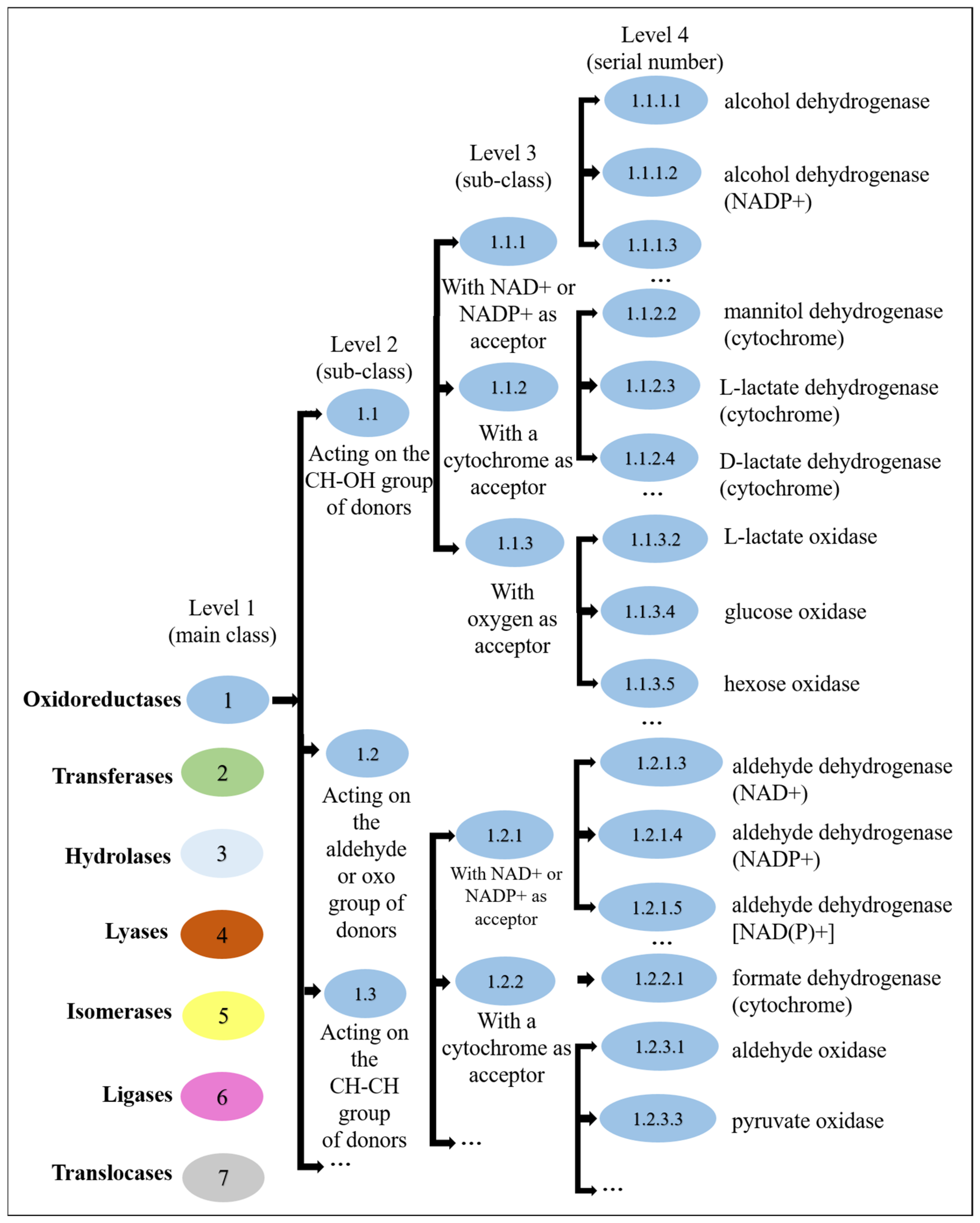 Applsci 15 02940 g001