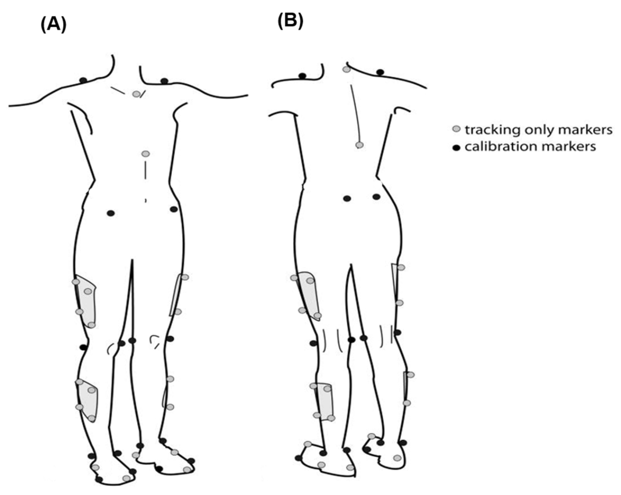 Applsci 15 02945 g001