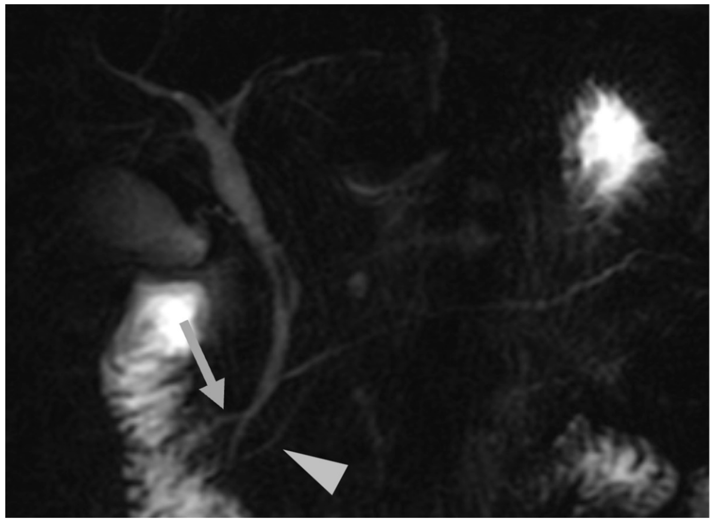 Applsci 15 02948 g004