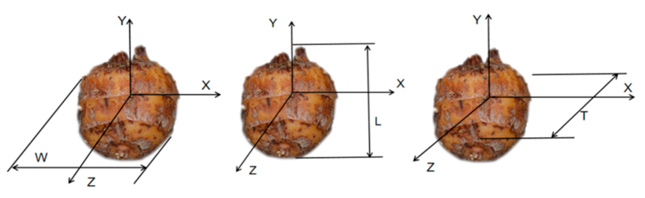 Applsci 15 02951 g002