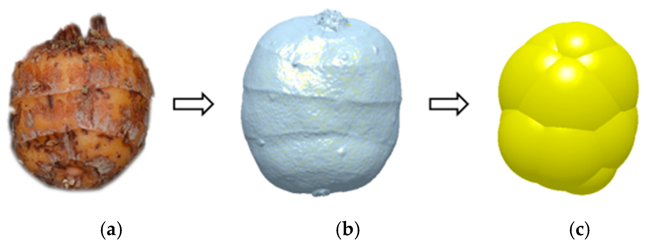 Applsci 15 02951 g009