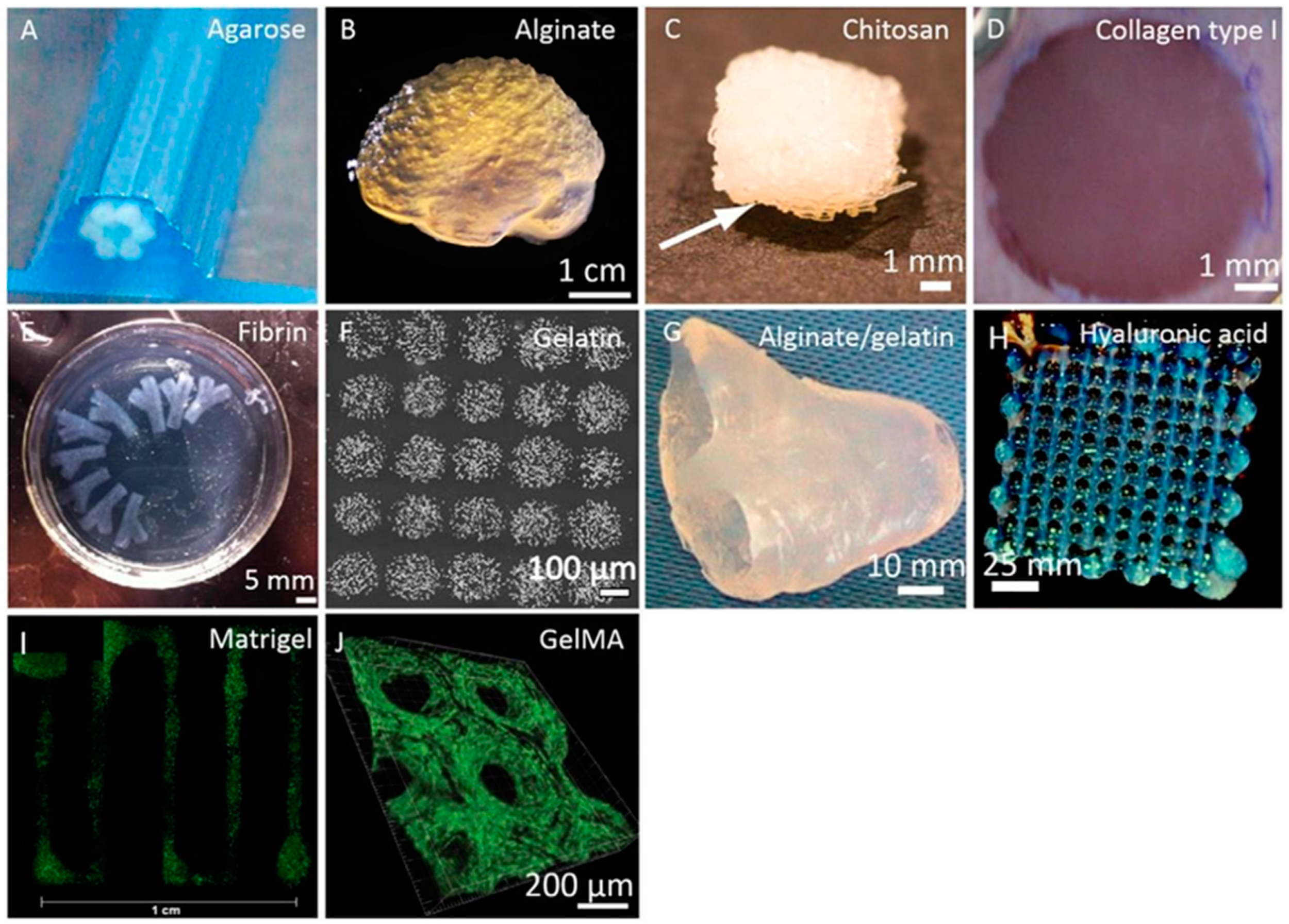 Applsci 15 02962 g011