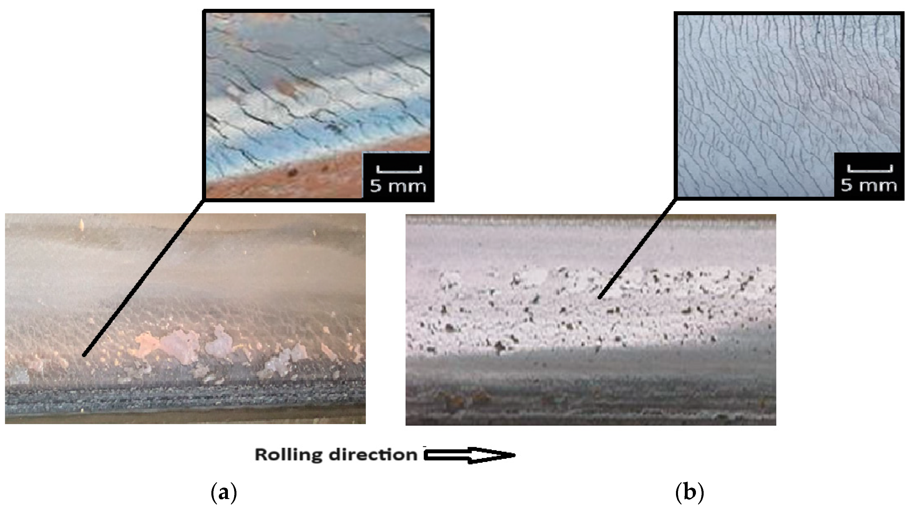 Applsci 15 02970 g001