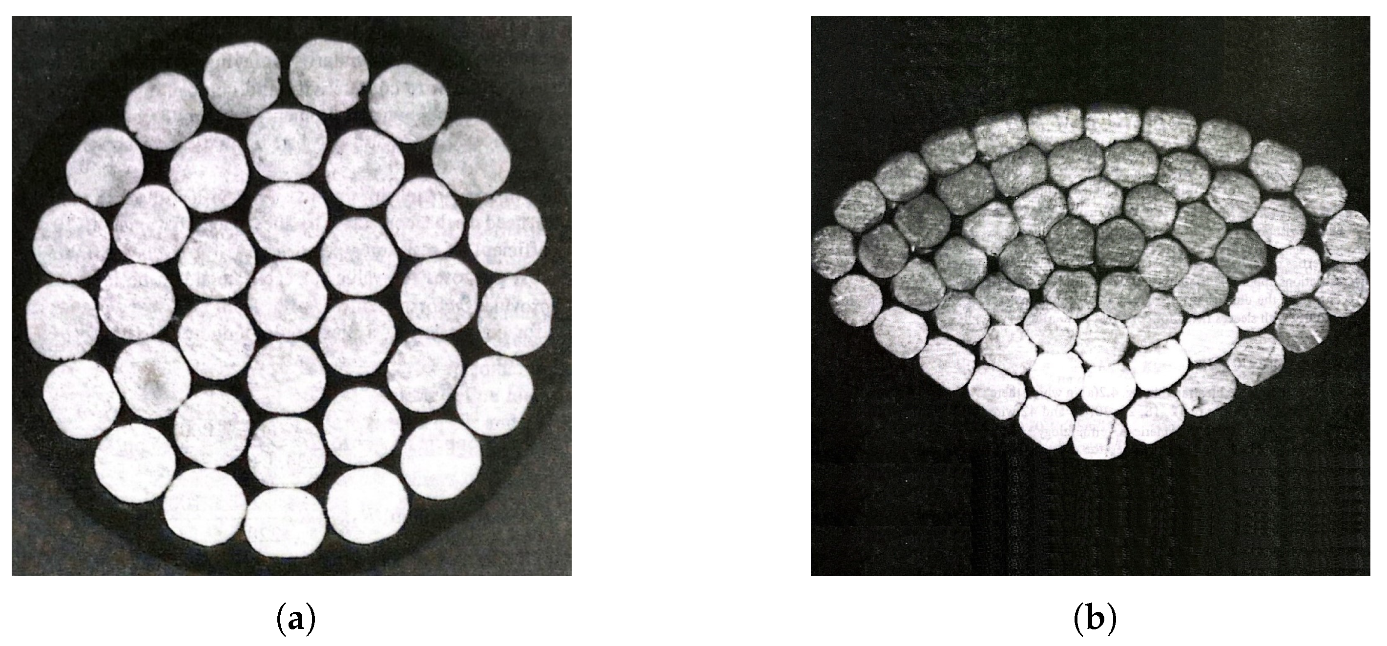 Applsci 15 02981 g001