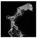 Applsci 15 02988 i002