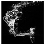 Applsci 15 02988 i008