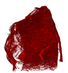 Applsci 15 02988 i012