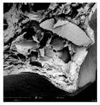 Applsci 15 02988 i013