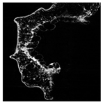 Applsci 15 02988 i014