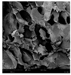 Applsci 15 02988 i016