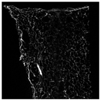 Applsci 15 02988 i017