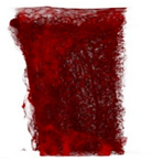 Applsci 15 02988 i018