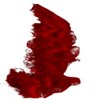 Applsci 15 02988 i021