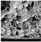 Applsci 15 02988 i022