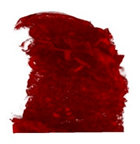 Applsci 15 02988 i033