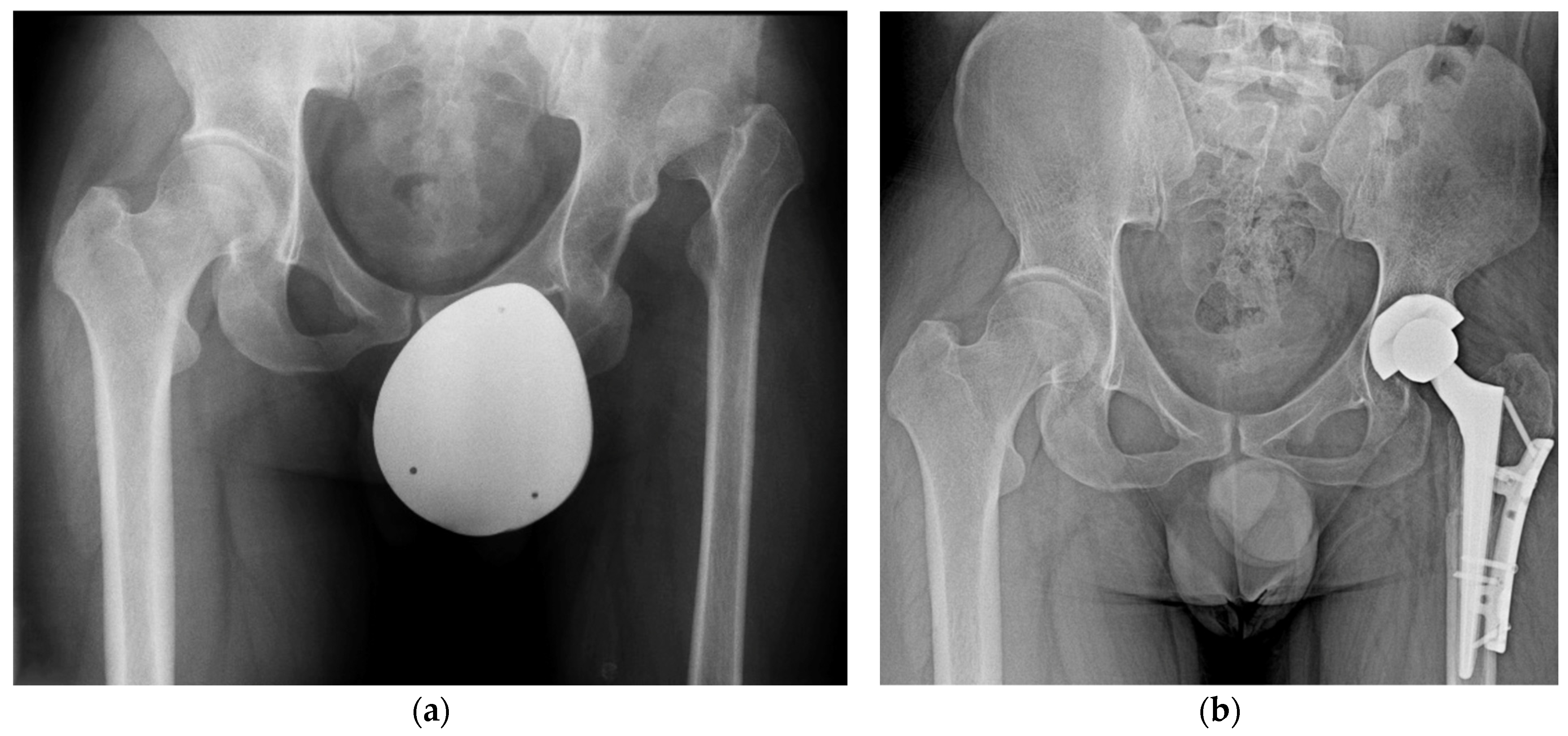 Applsci 15 02991 g007