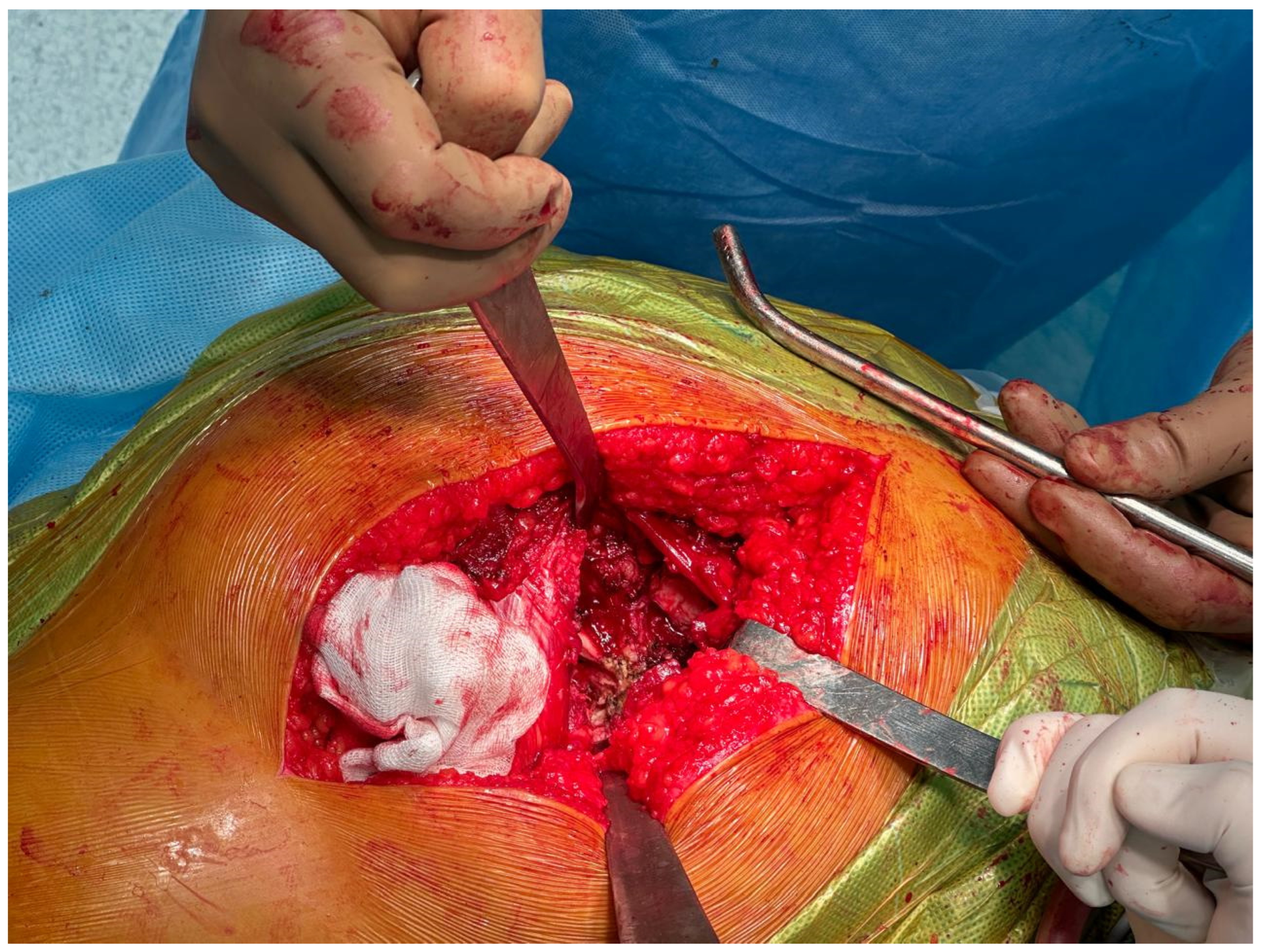 Applsci 15 02991 g0a1