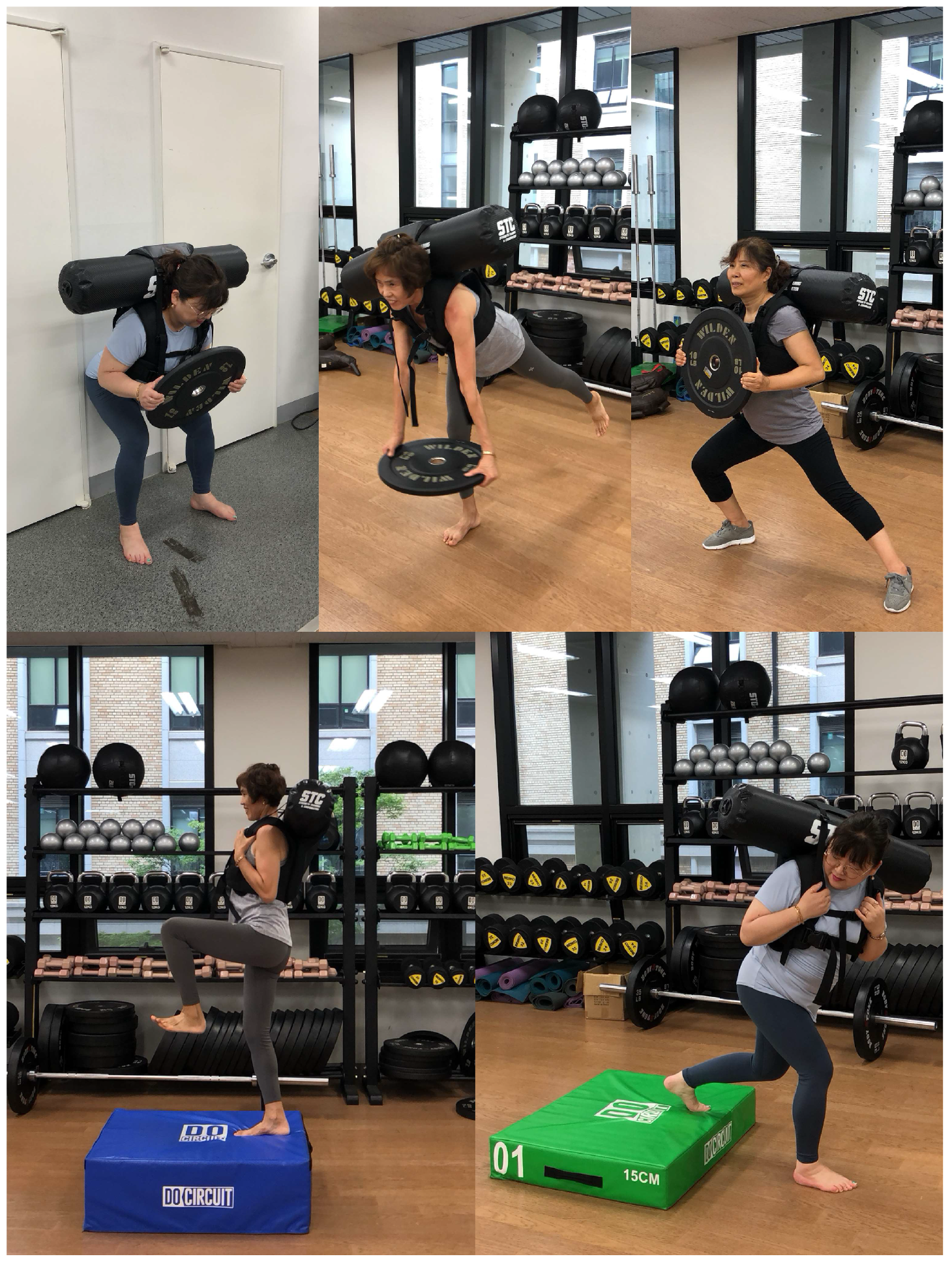 Applsci 15 02992 g002