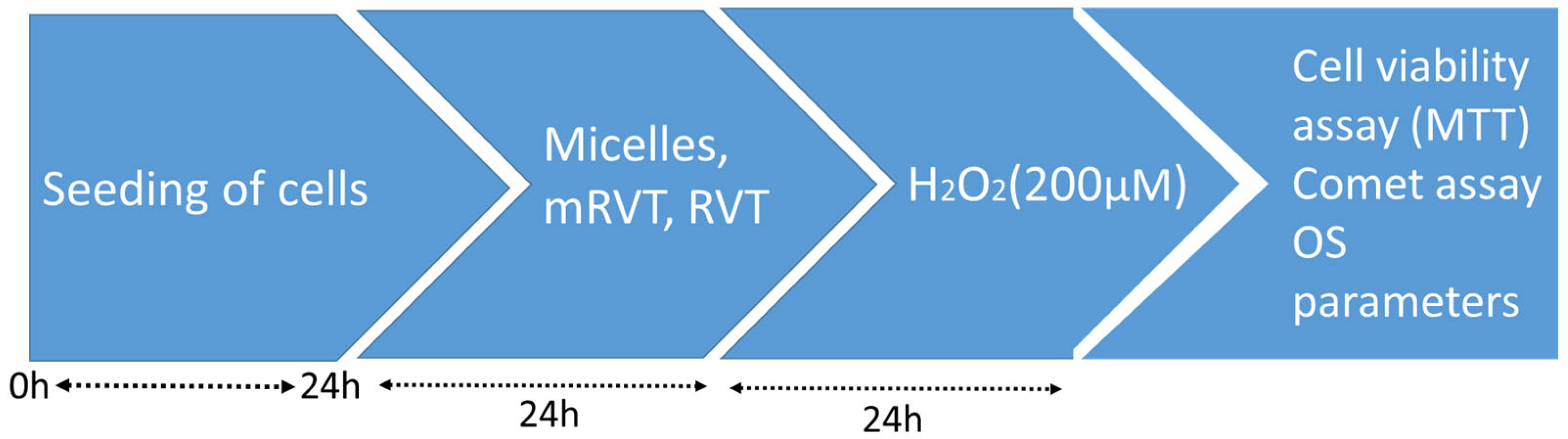 Applsci 15 02995 g001
