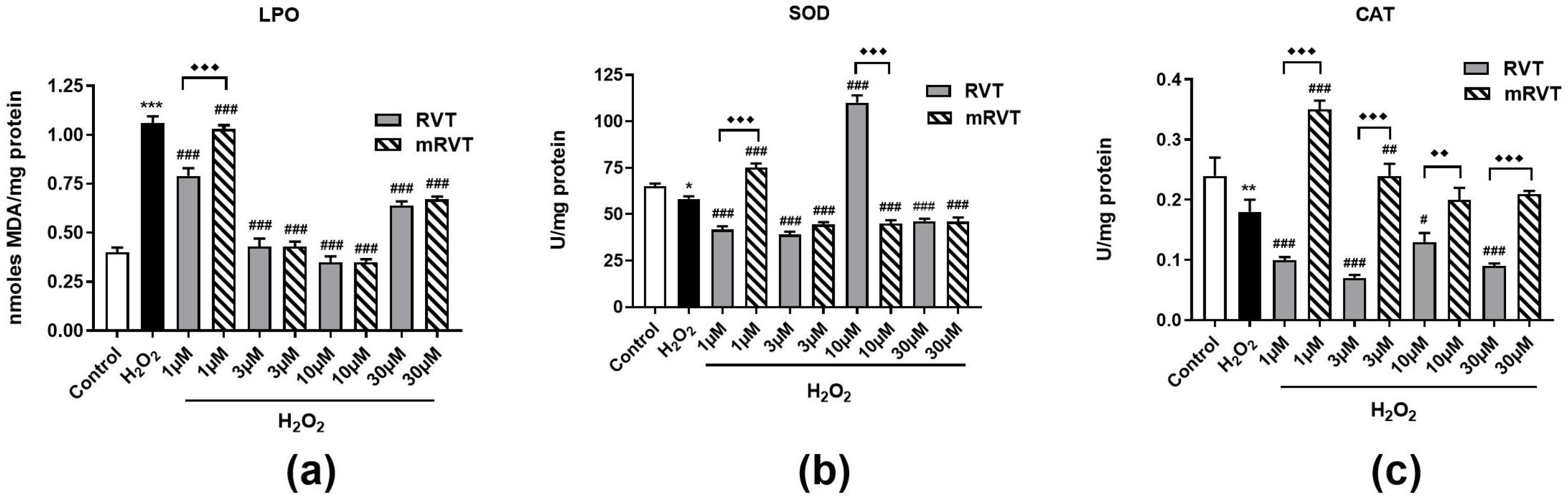 Applsci 15 02995 g004