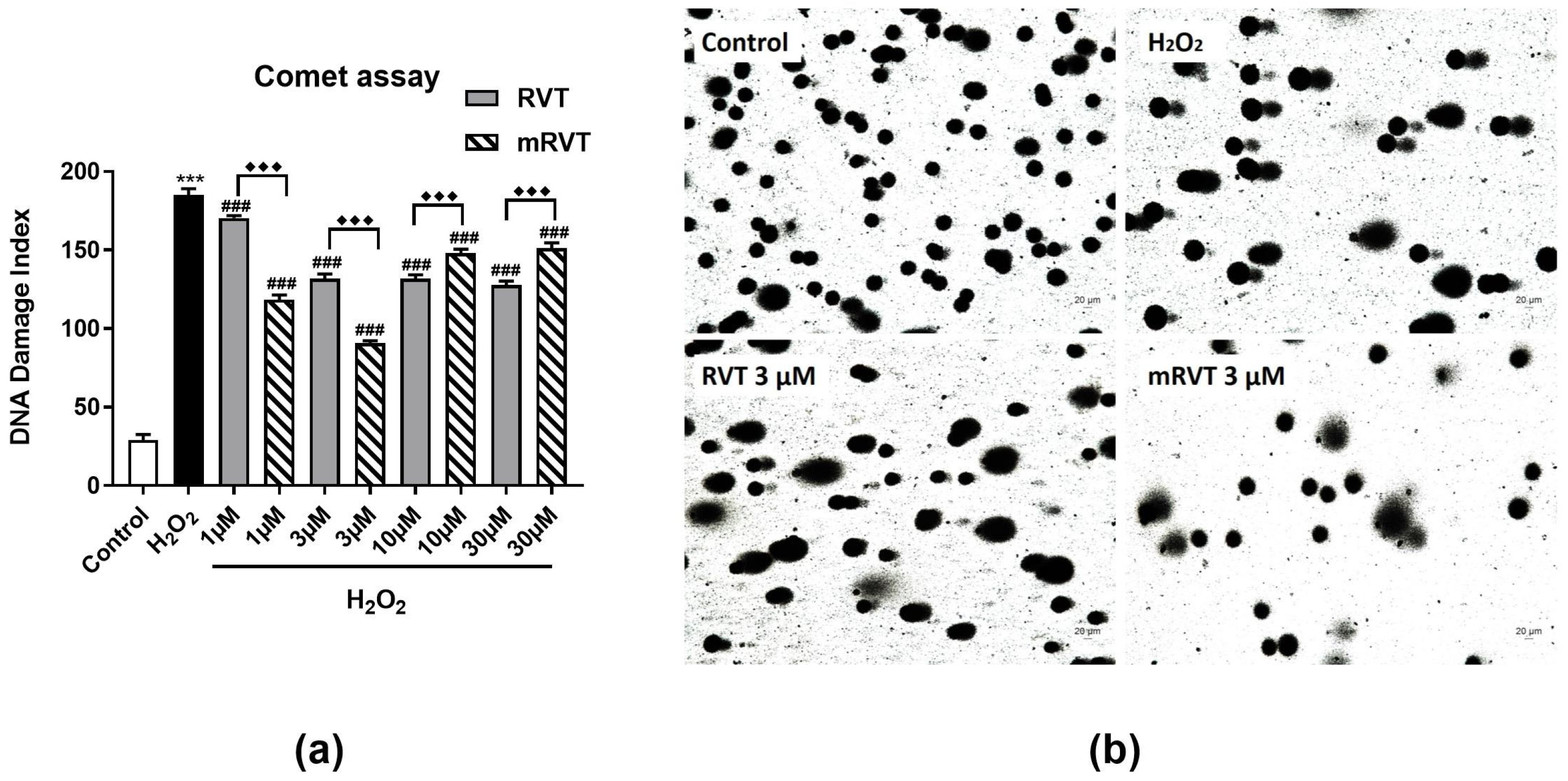 Applsci 15 02995 g005