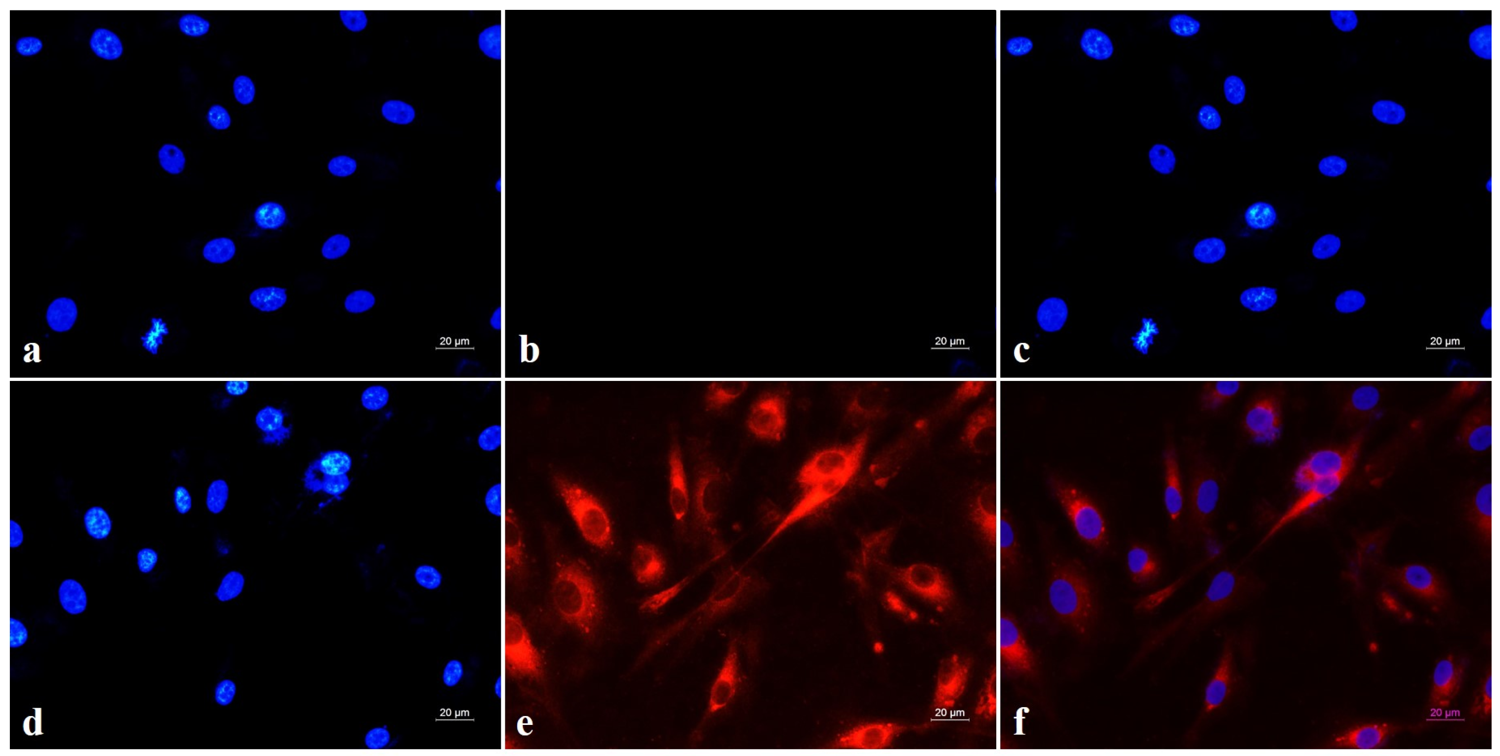 Applsci 15 02995 g007