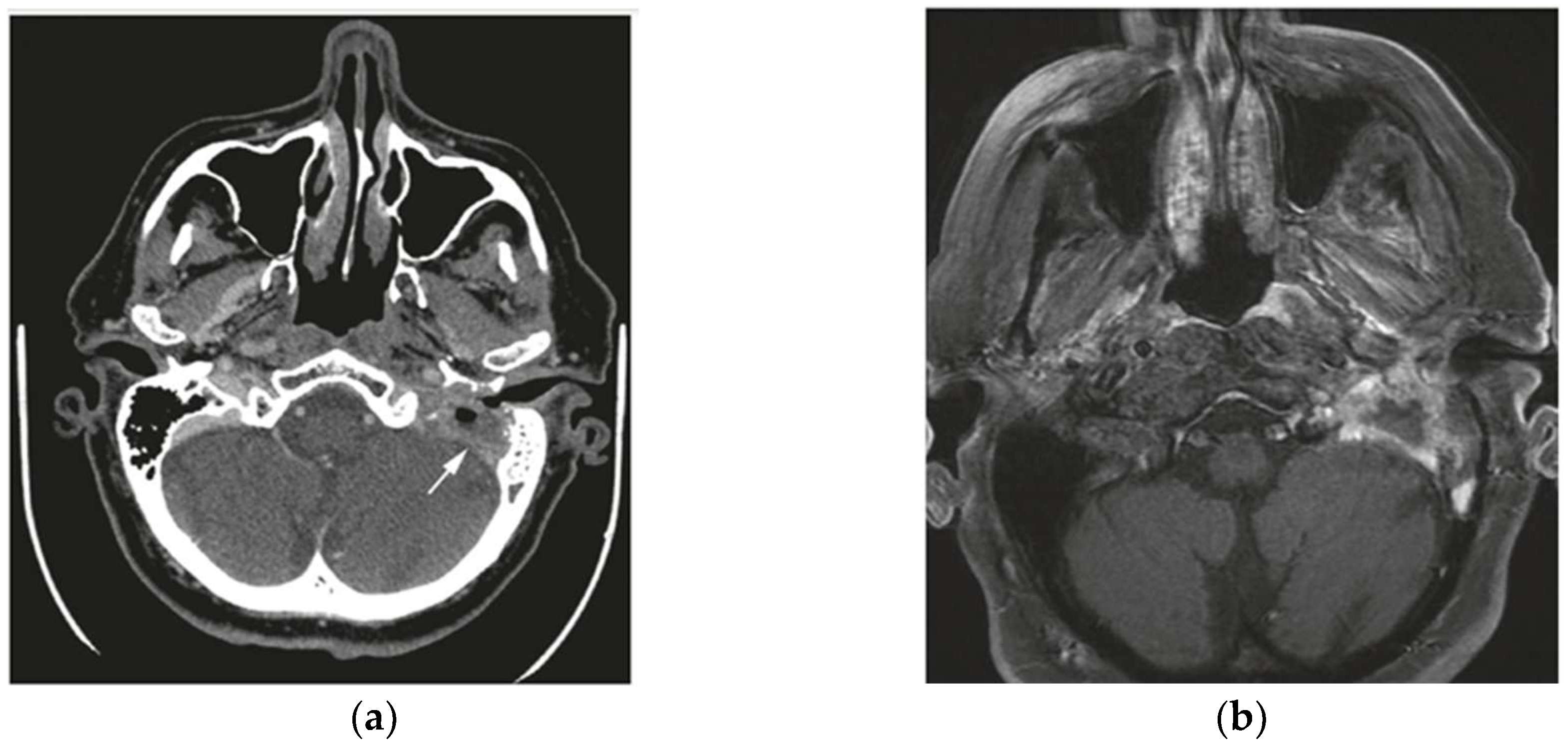 Applsci 15 03009 g001