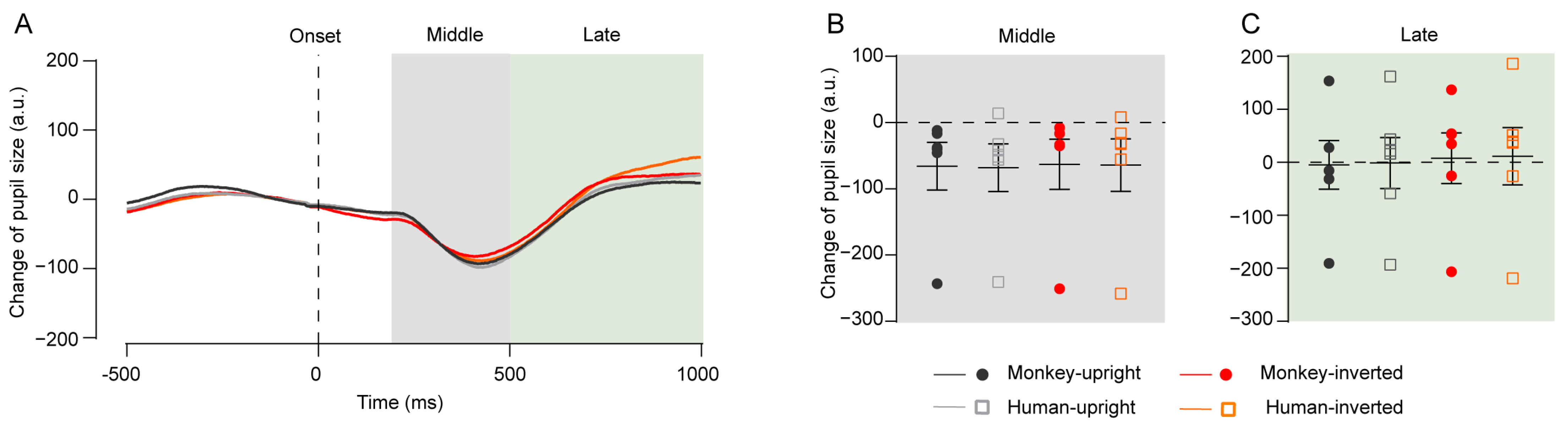 Applsci 15 03022 g005 Applsci 15 03022 g005