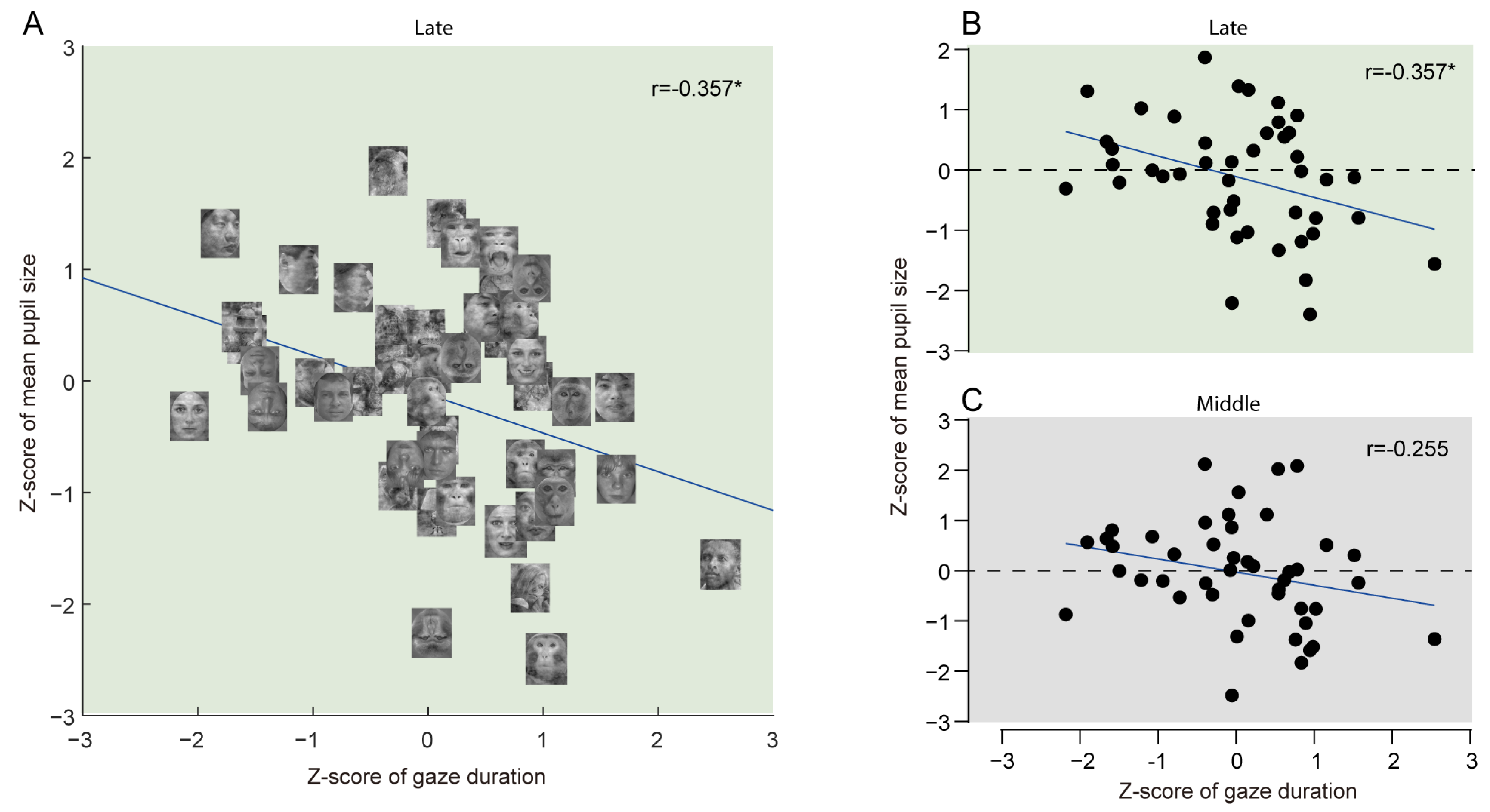 Applsci 15 03022 g006 Applsci 15 03022 g006
