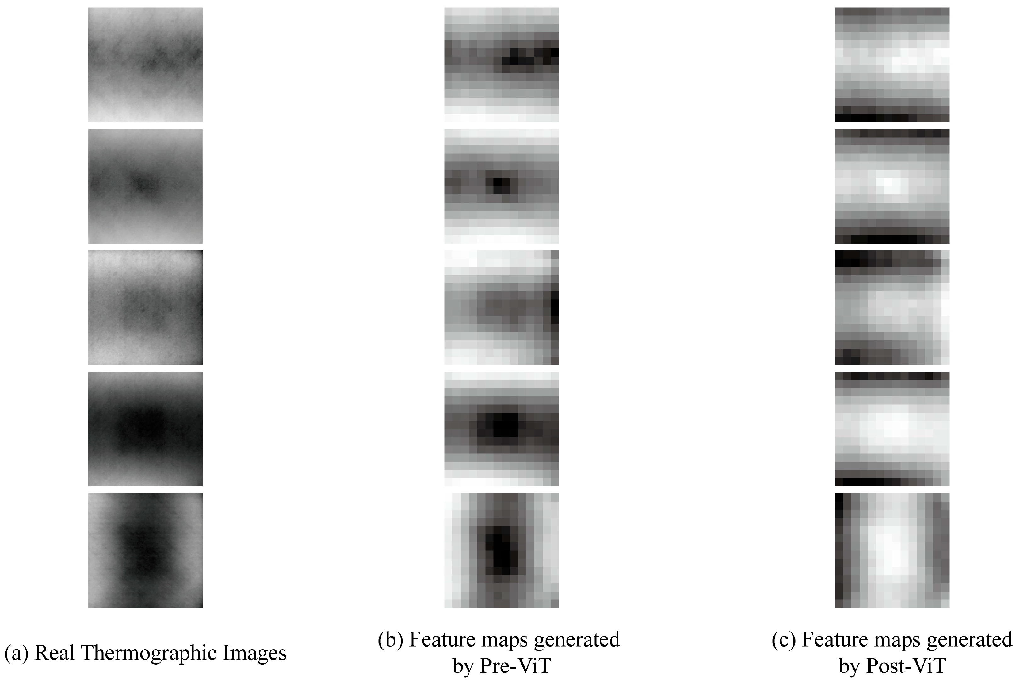 Applsci 15 03042 g010