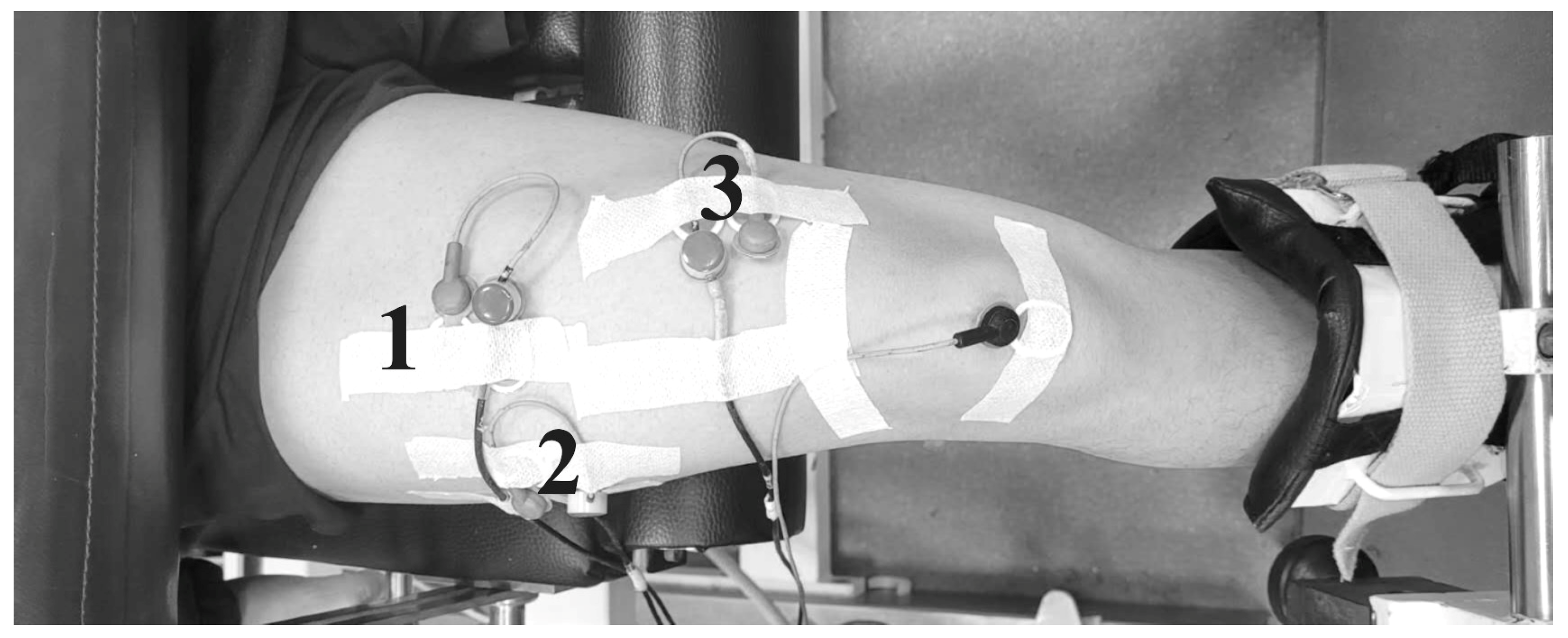 Applsci 15 03047 g002