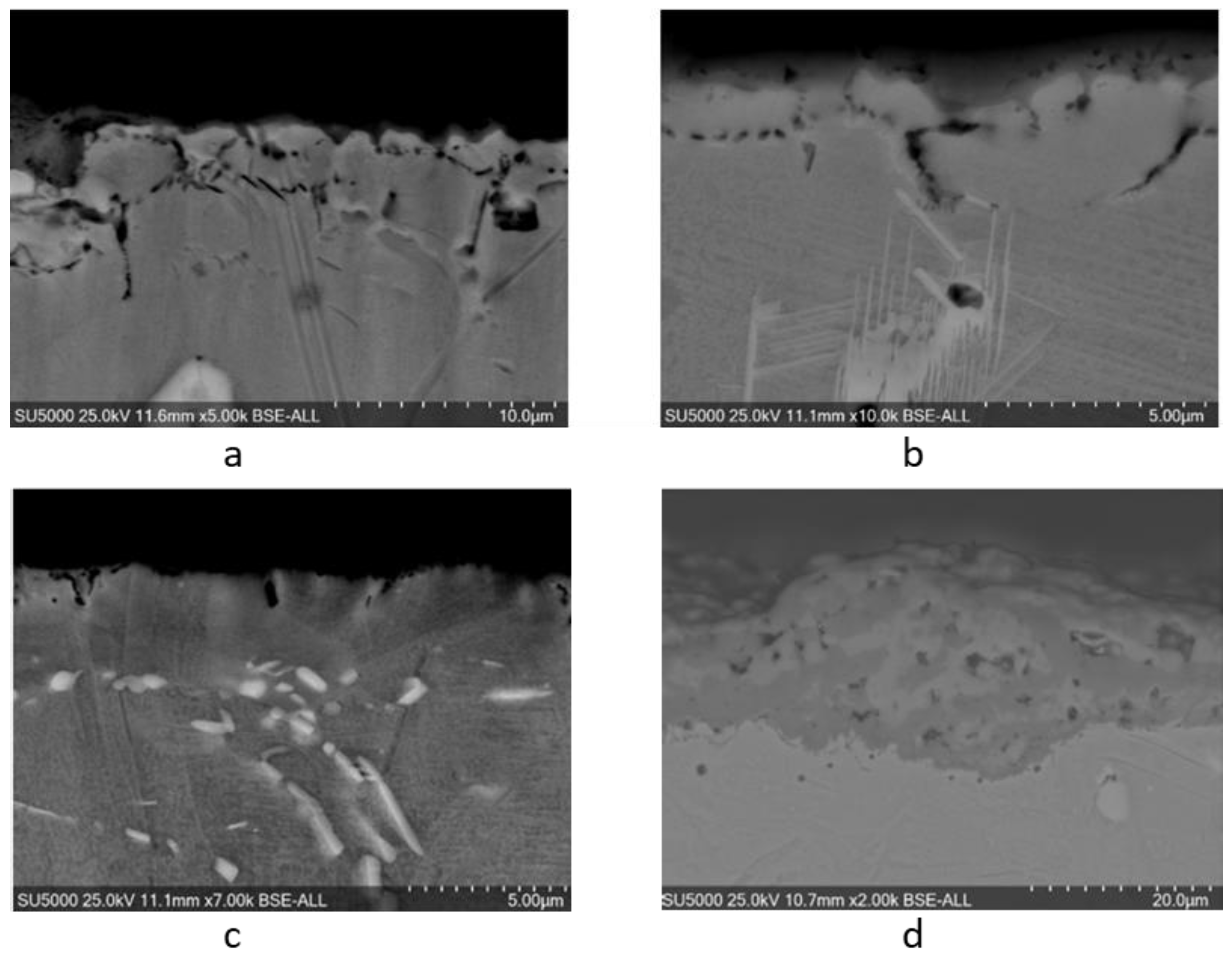 Applsci 15 03057 g006