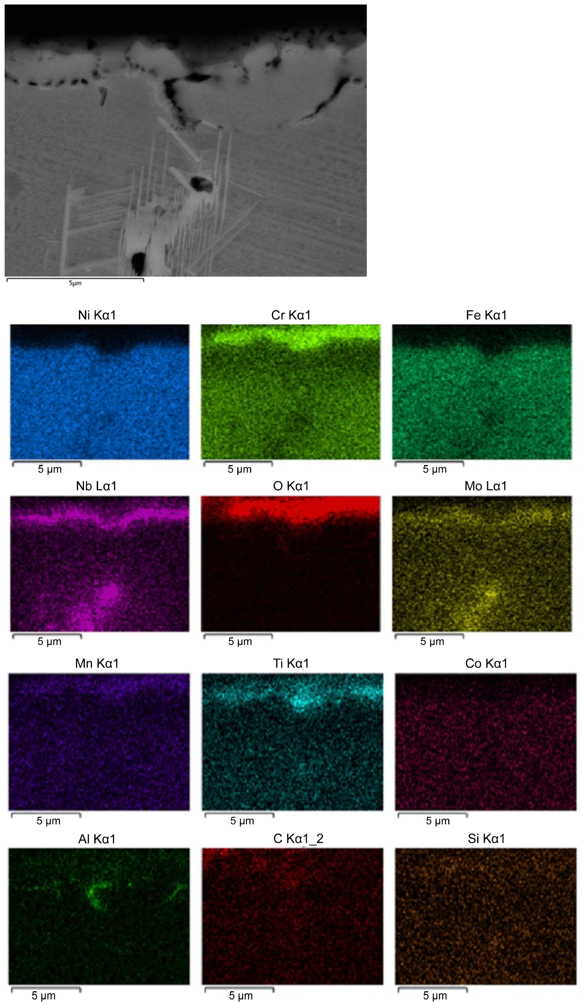 Applsci 15 03057 g007
