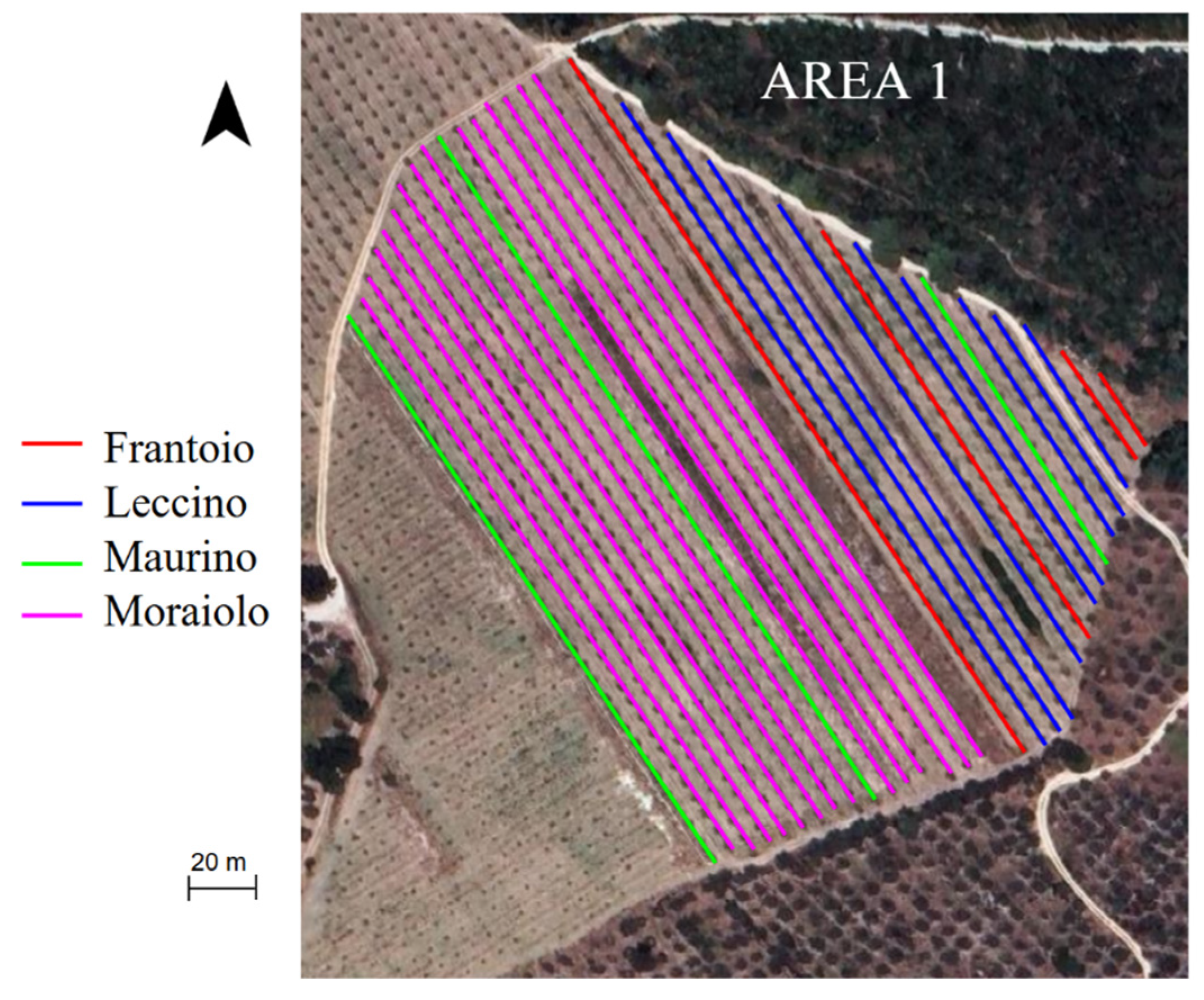 Applsci 15 03066 g006