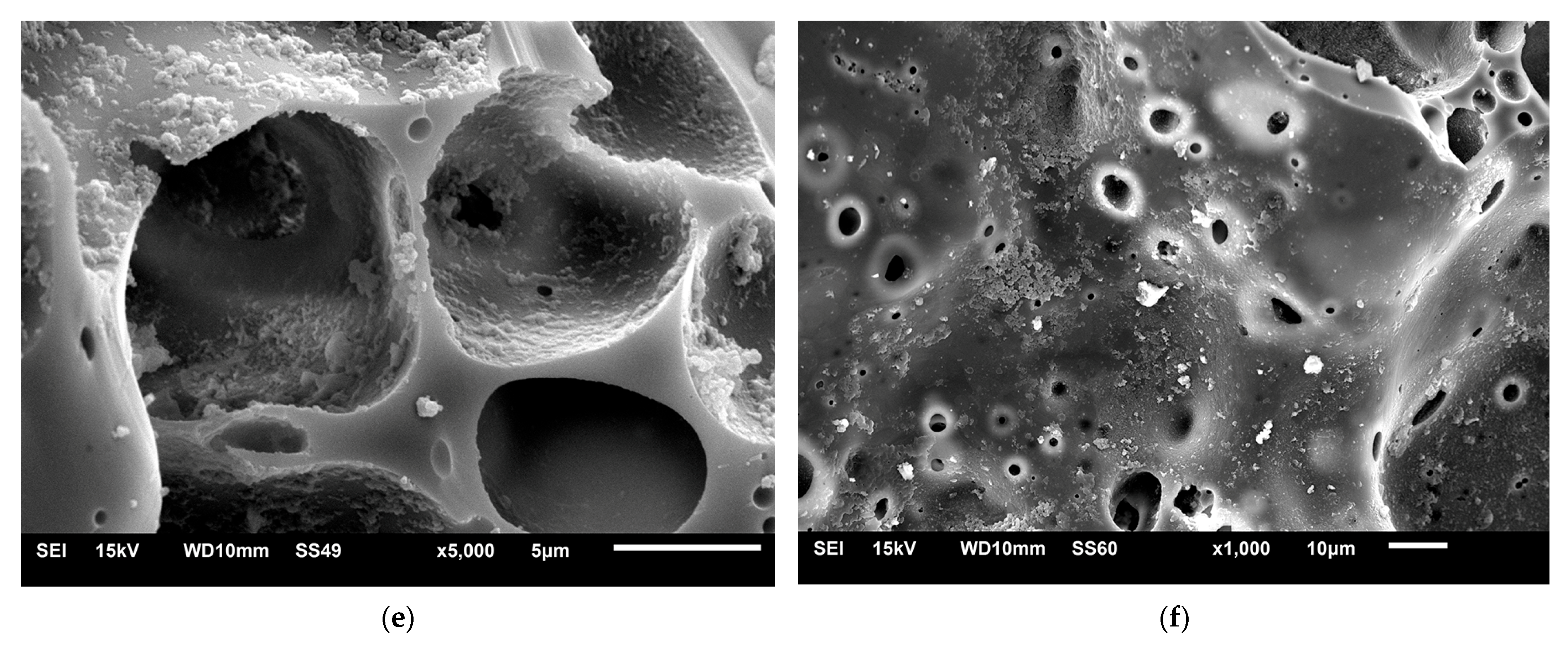 Applsci 15 03093 g002b