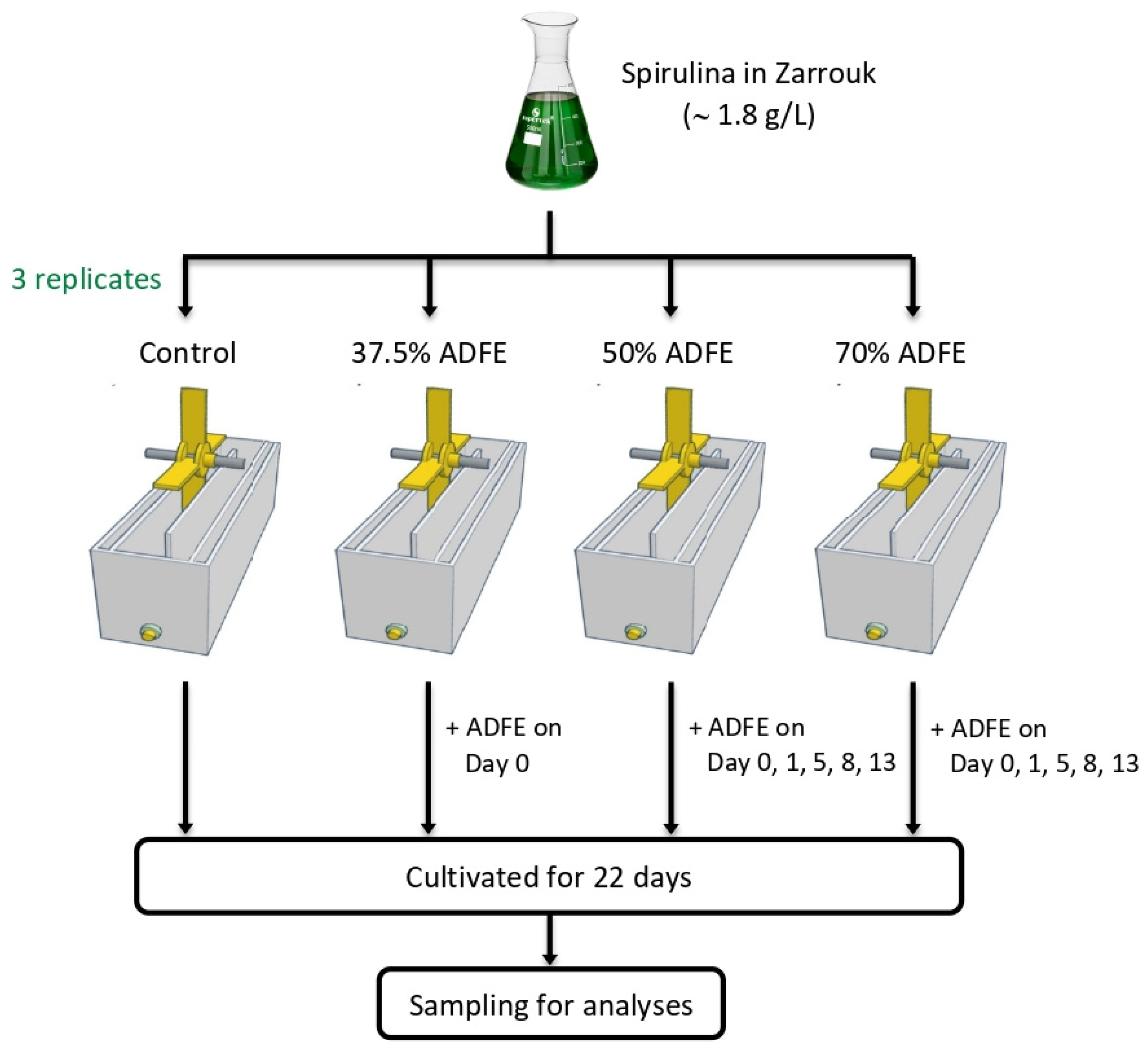 Applsci 15 03115 g001
