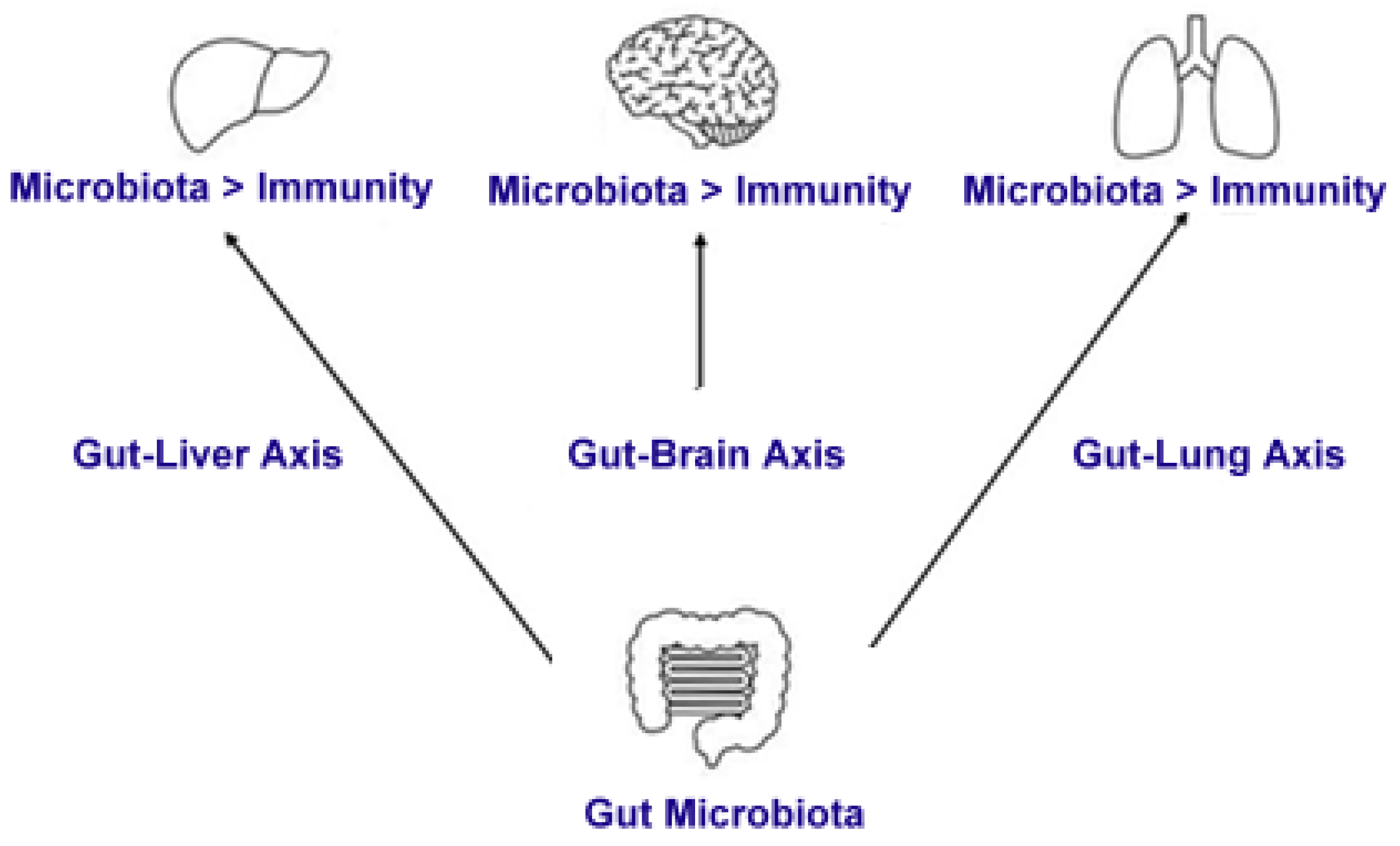 Applsci 15 03157 g001