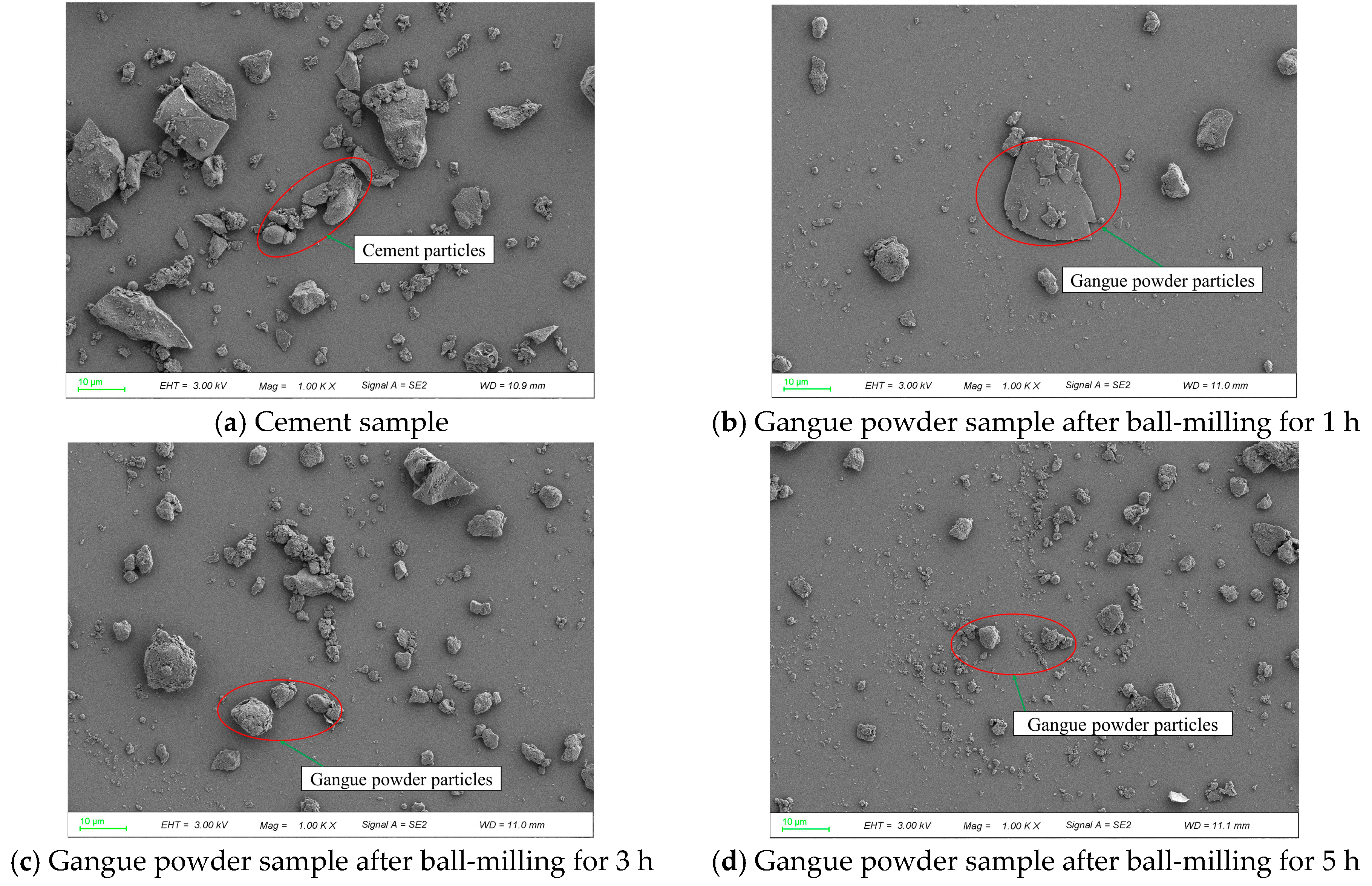 Applsci 15 03180 g006