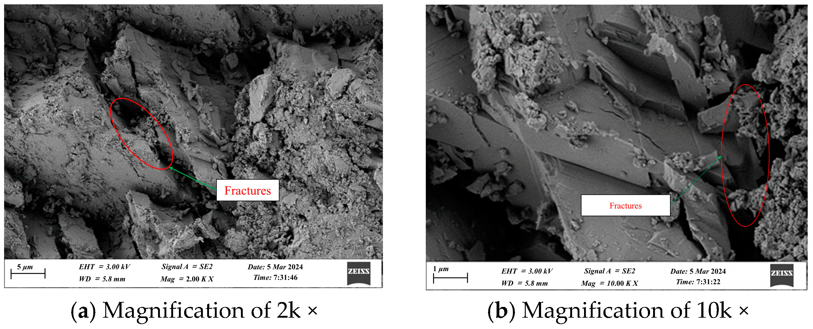 Applsci 15 03180 g013