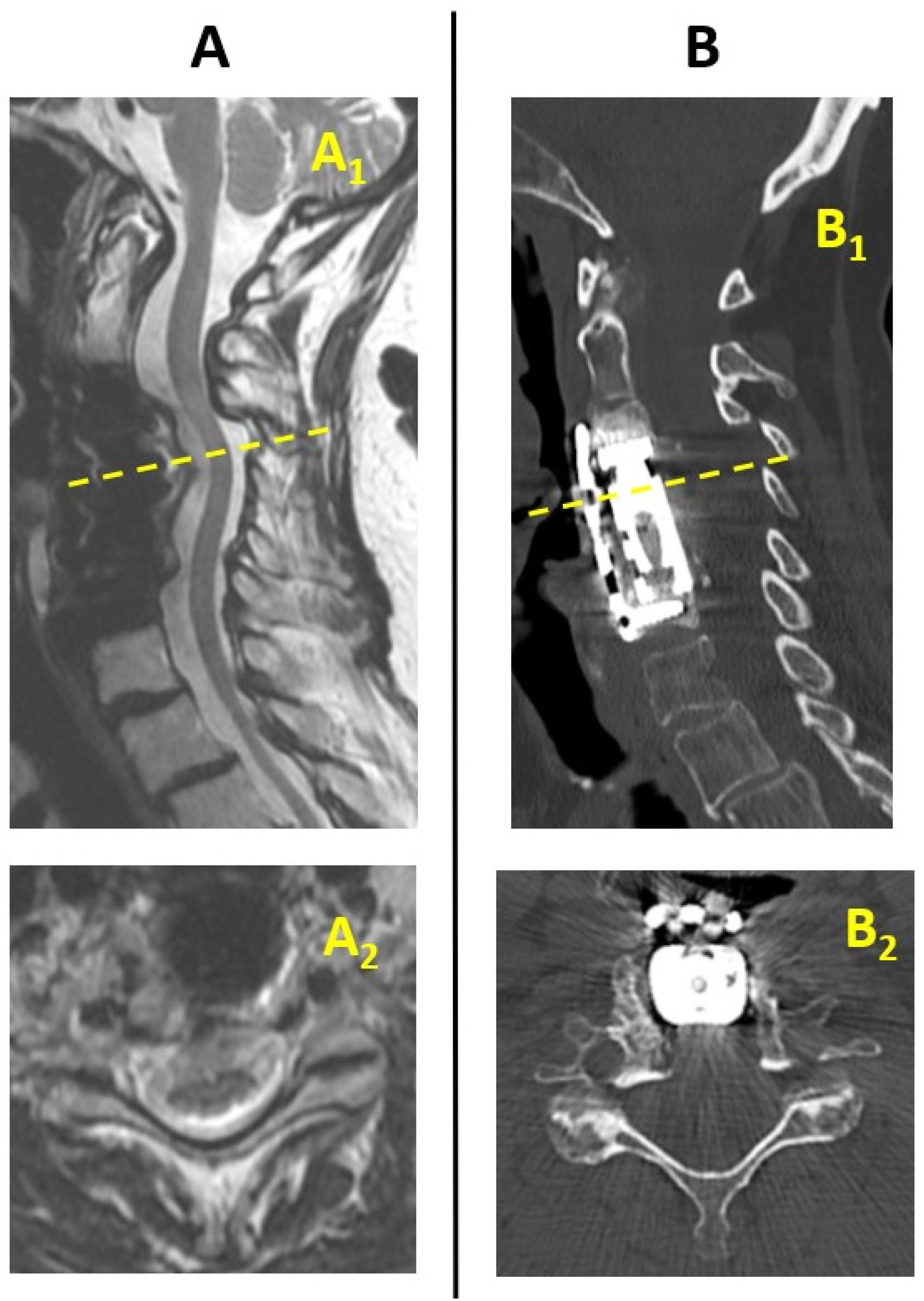 Applsci 15 03183 g002