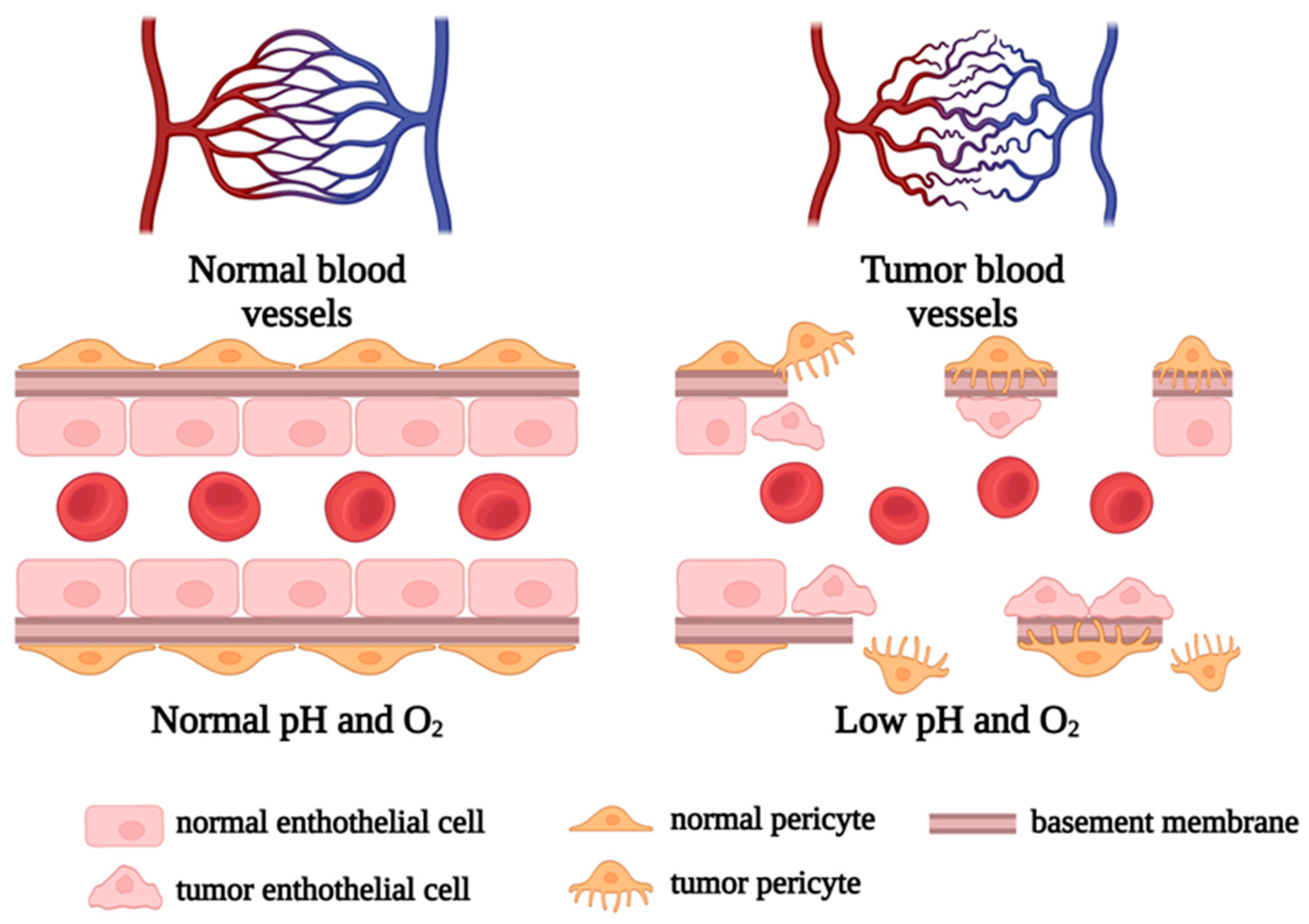 Applsci 15 03189 g002