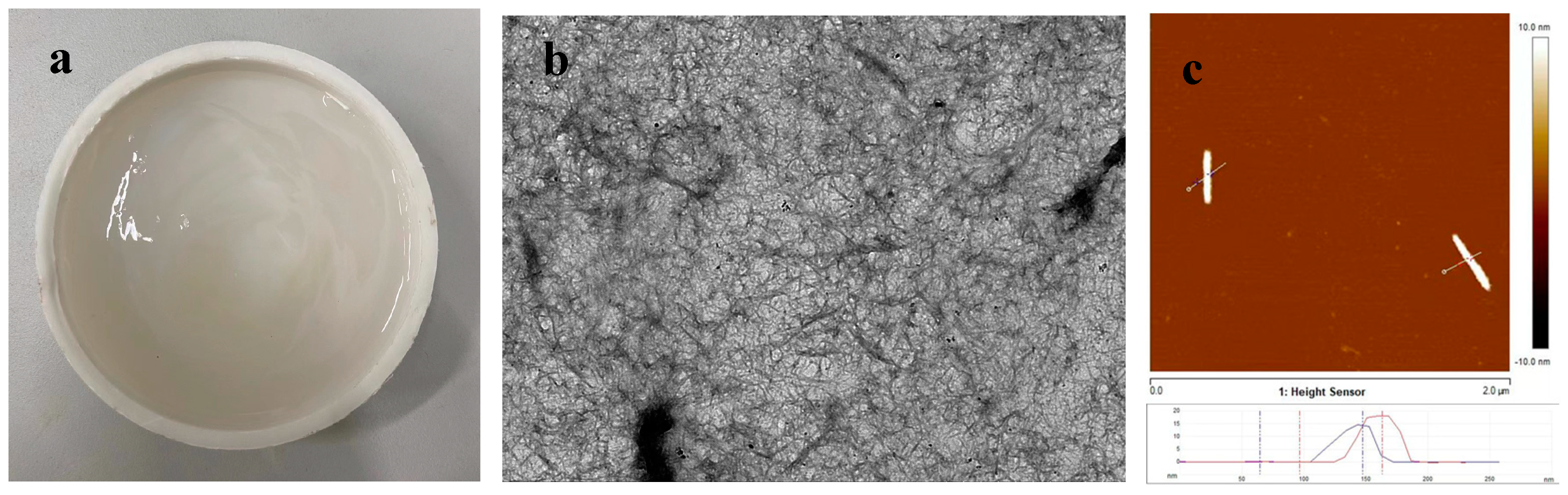 Applsci 15 03205 g001