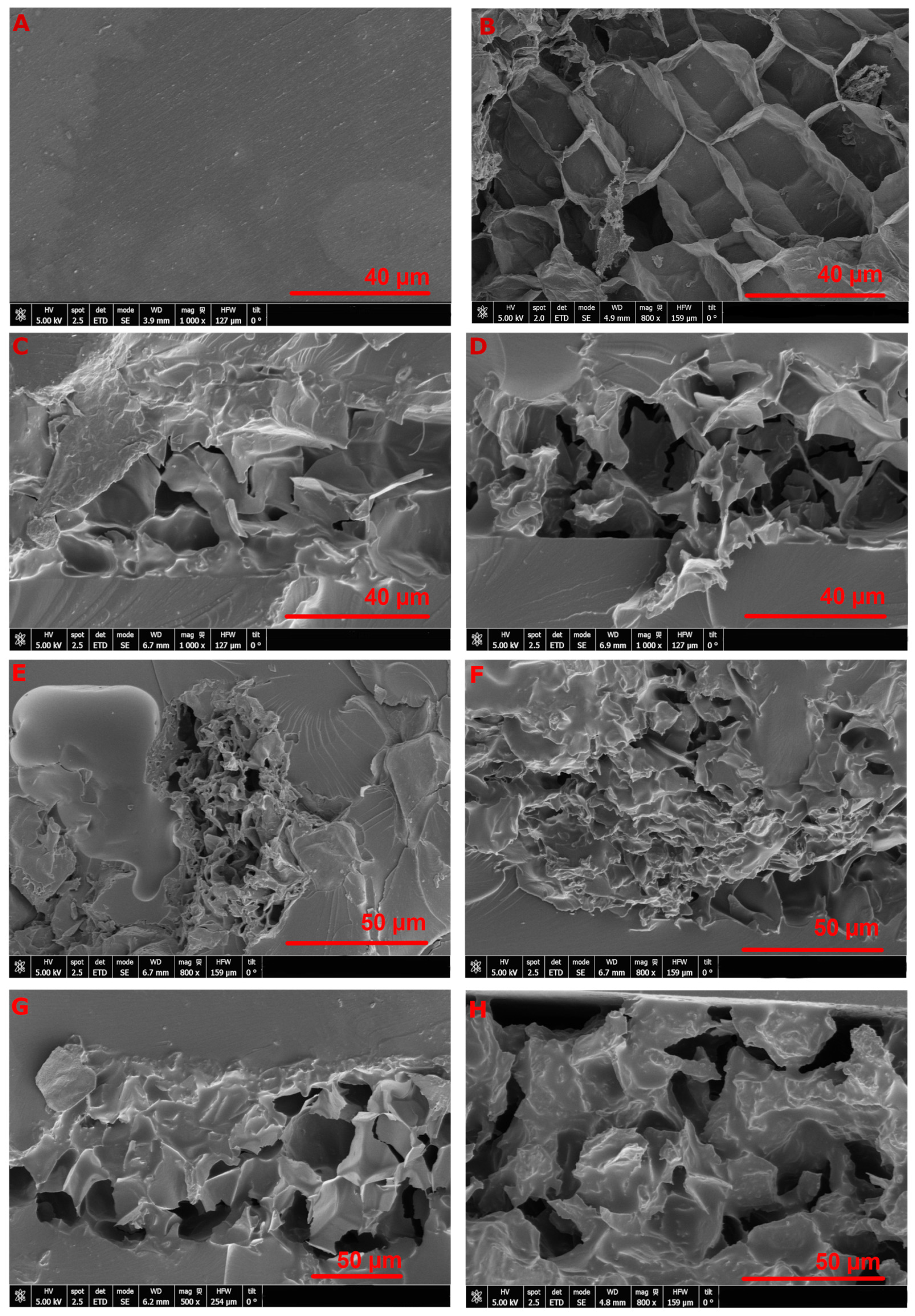 Applsci 15 03207 g002