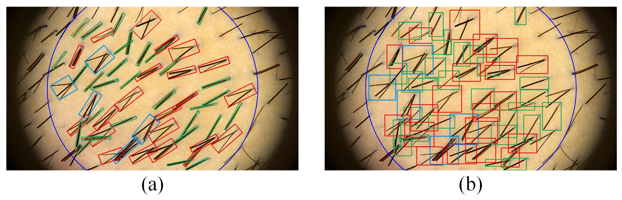 Applsci 15 03208 g001