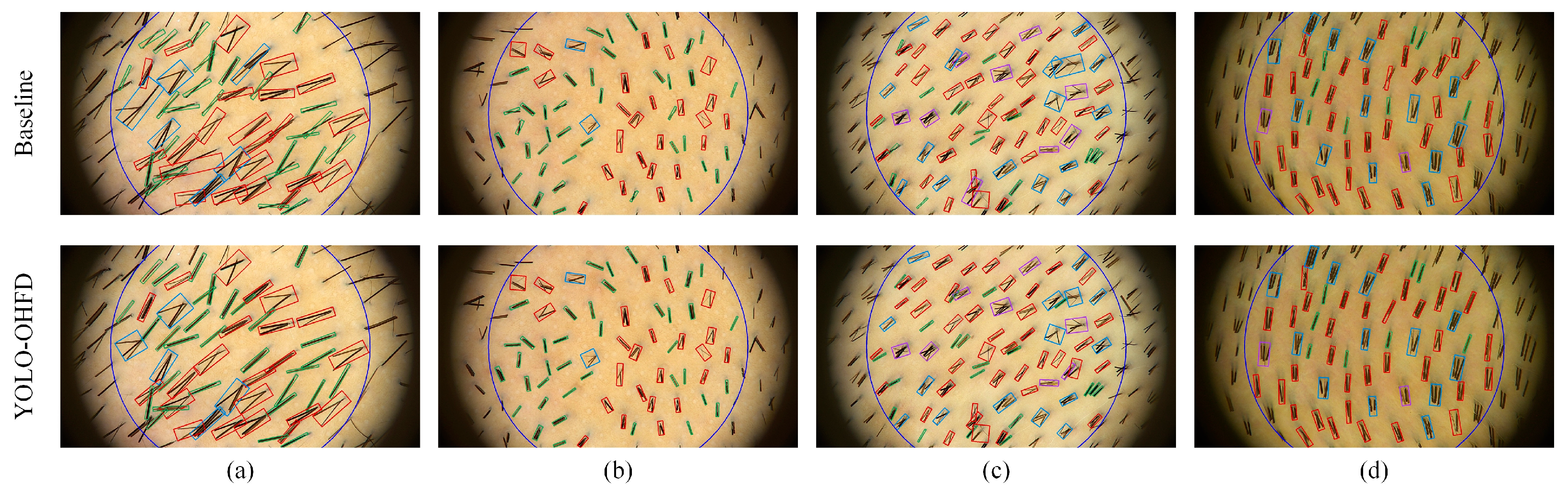 Applsci 15 03208 g013