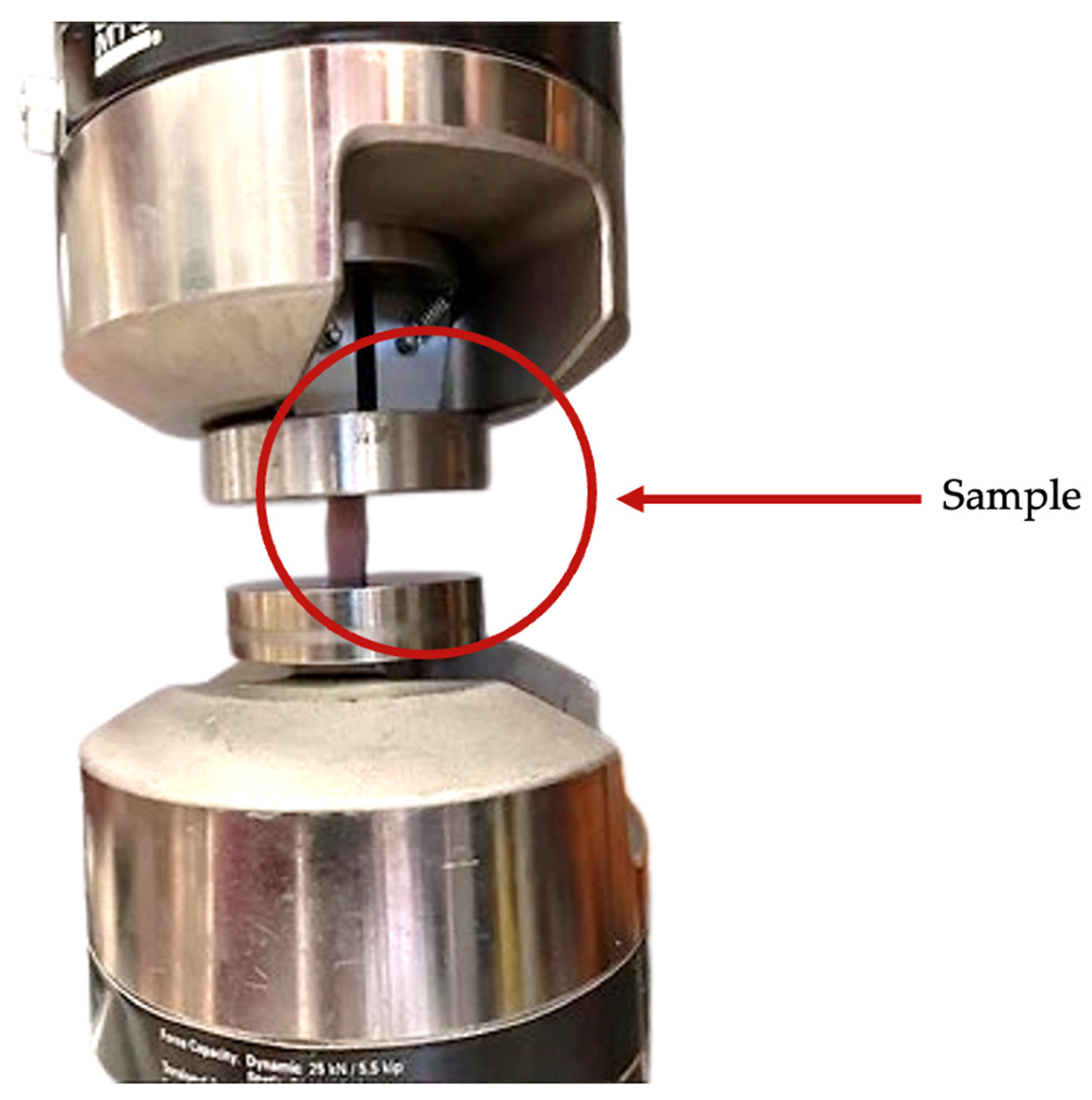 Applsci 15 03212 g005