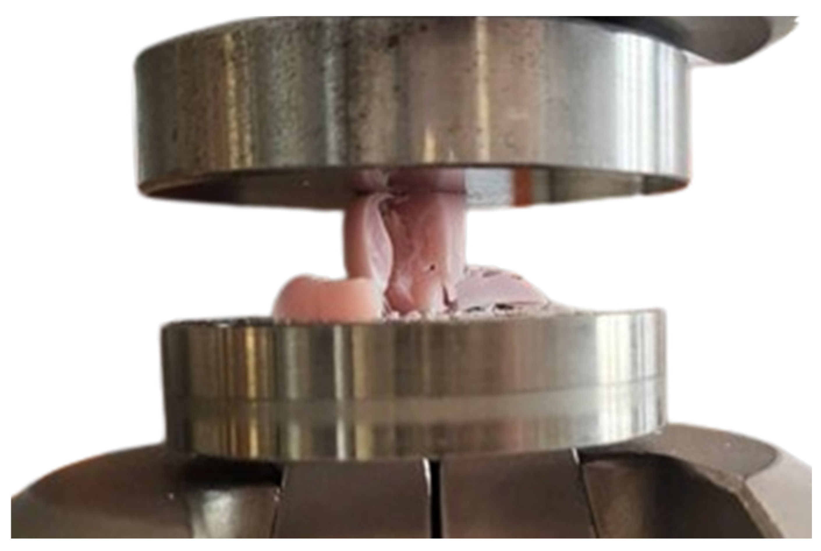 Applsci 15 03212 g016